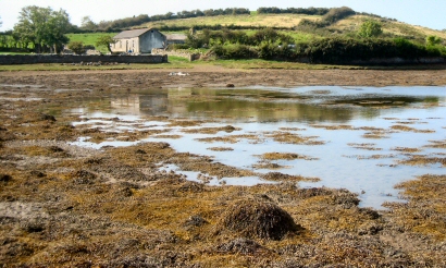 My mother's old house (2)
